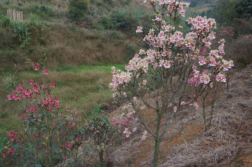 ���ӻ� 6.jpg