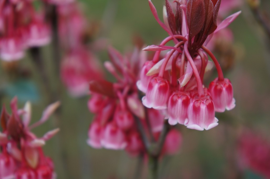 ���ӻ� 7.jpg