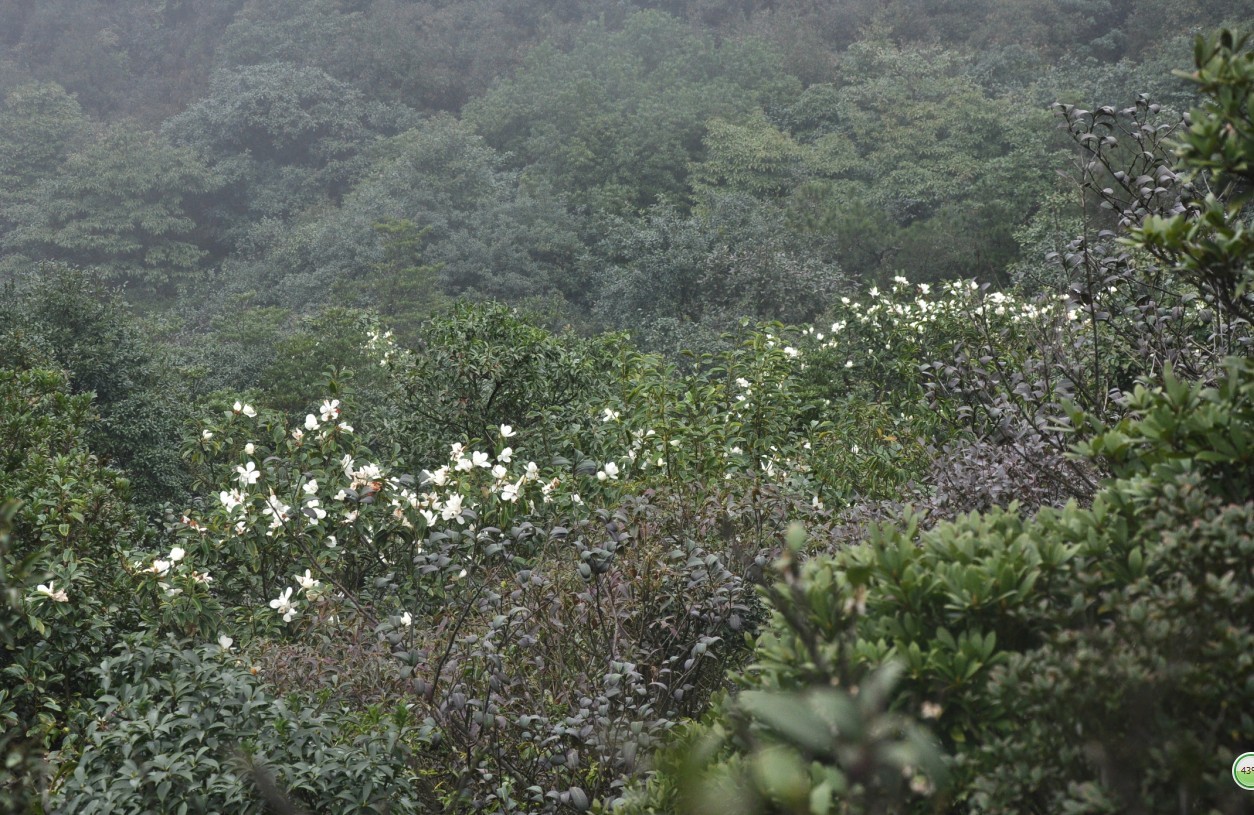 ���Ƕ� 1.jpg