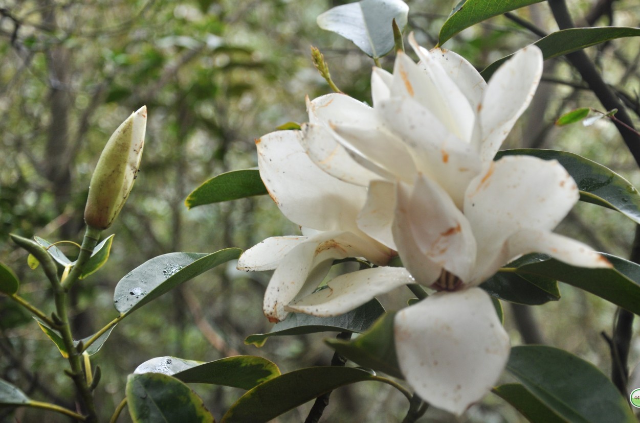 ���Ƕ� 2.jpg