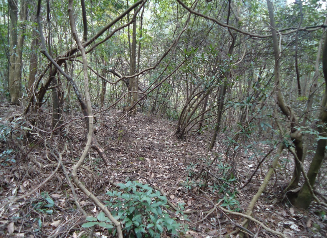 ���Ƕ� 1.jpg