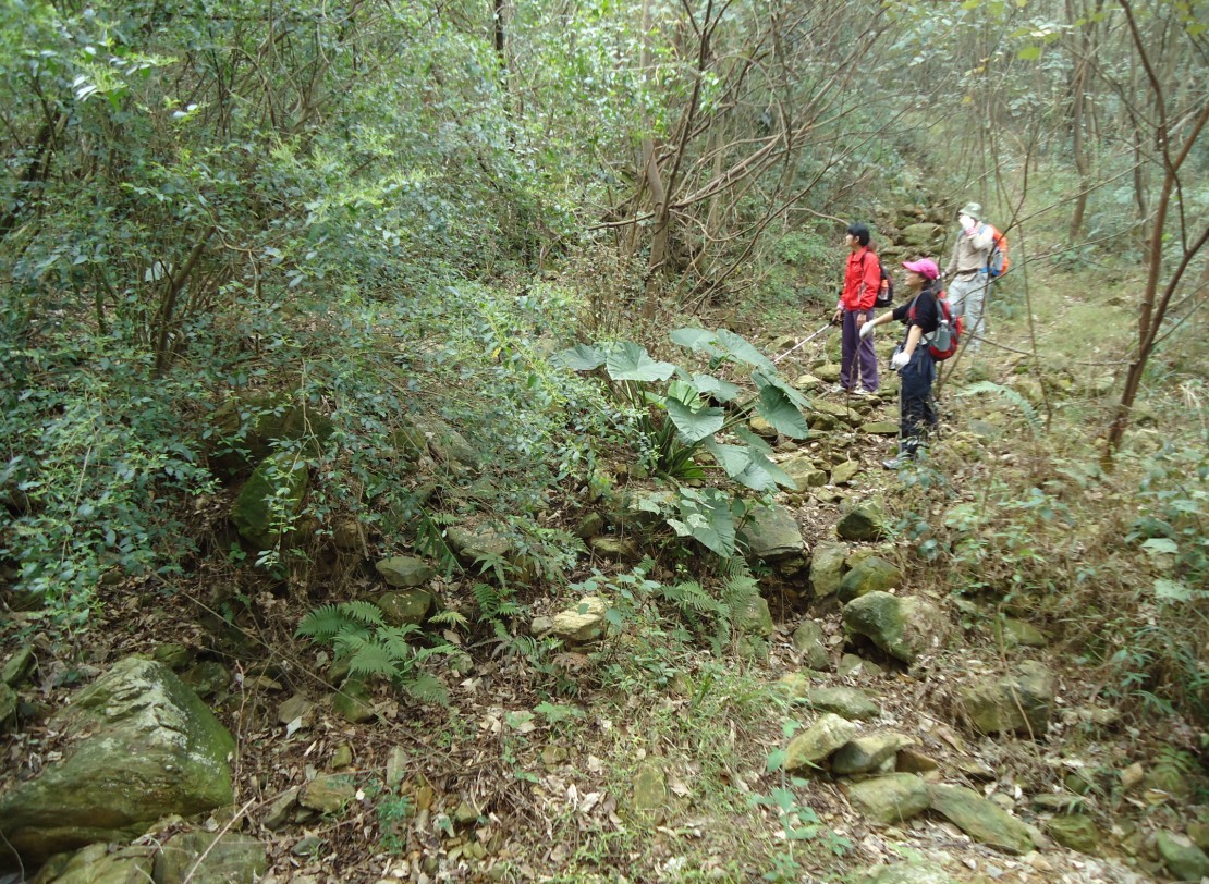 ���Ƕ� 1.jpg