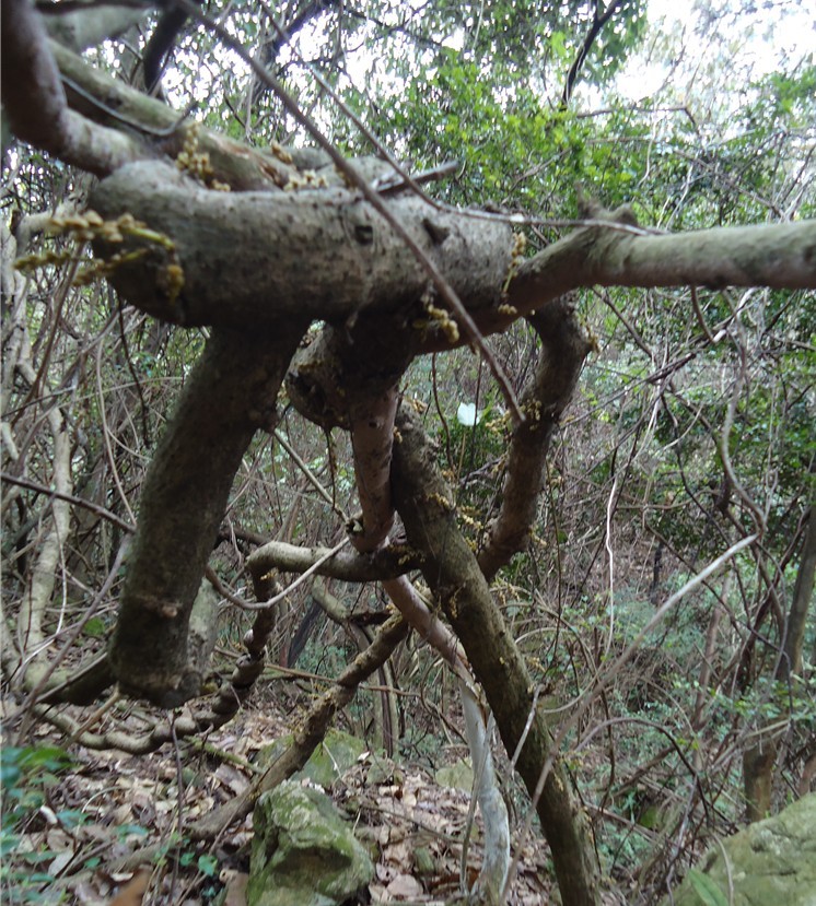 ���Ƕ� 3.jpg