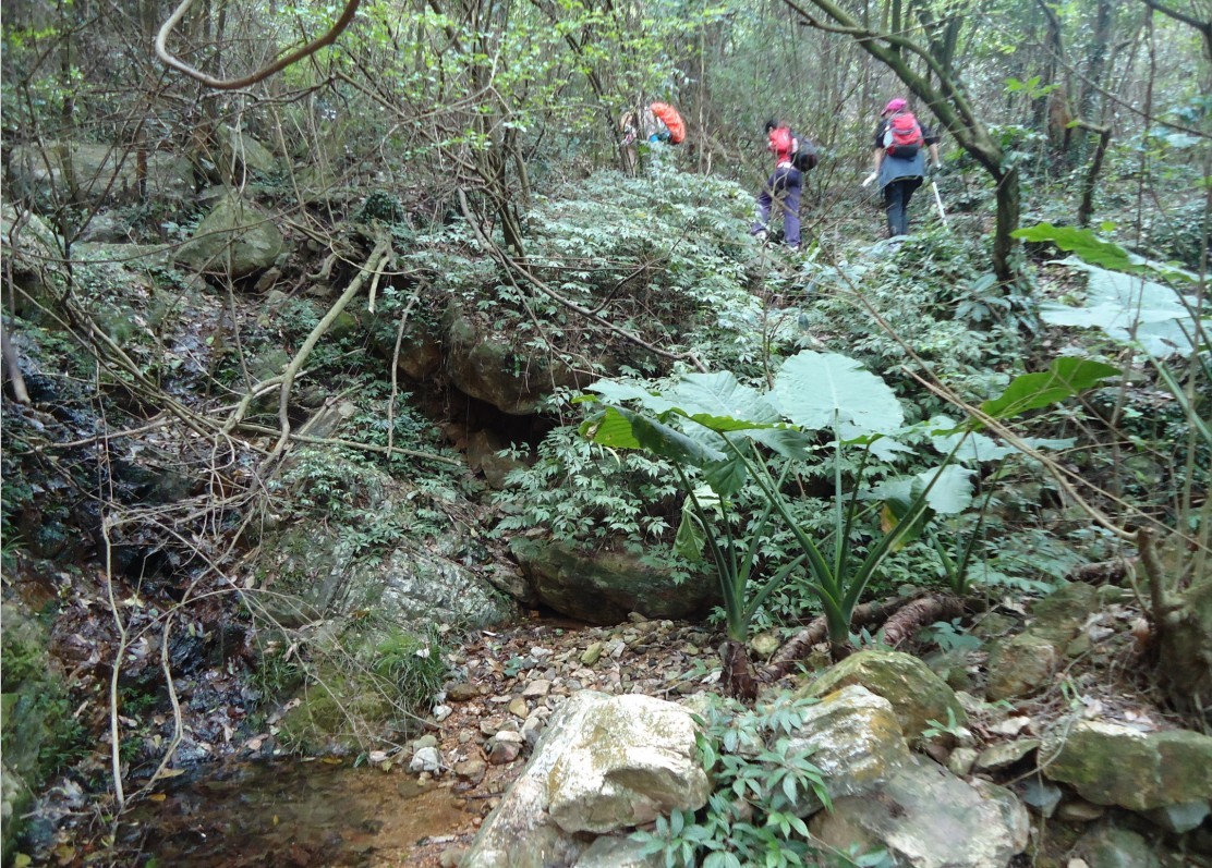 ���Ƕ� 7.jpg