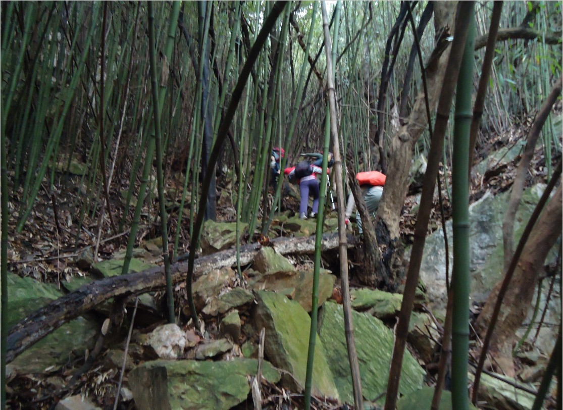 ���Ƕ� 1.jpg