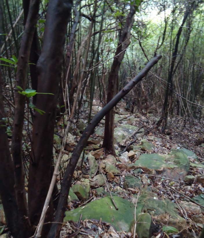 ���Ƕ� 2.jpg