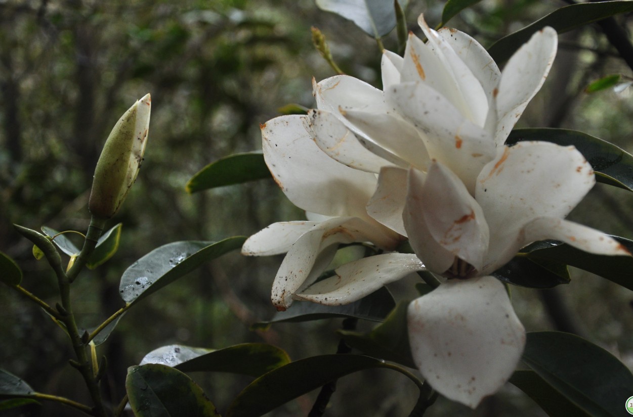 ���Ƕ� 1.jpg