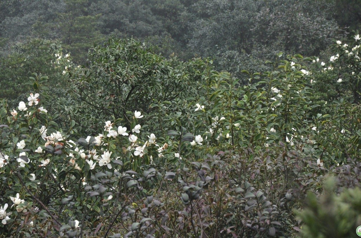 ���Ƕ� 2.jpg