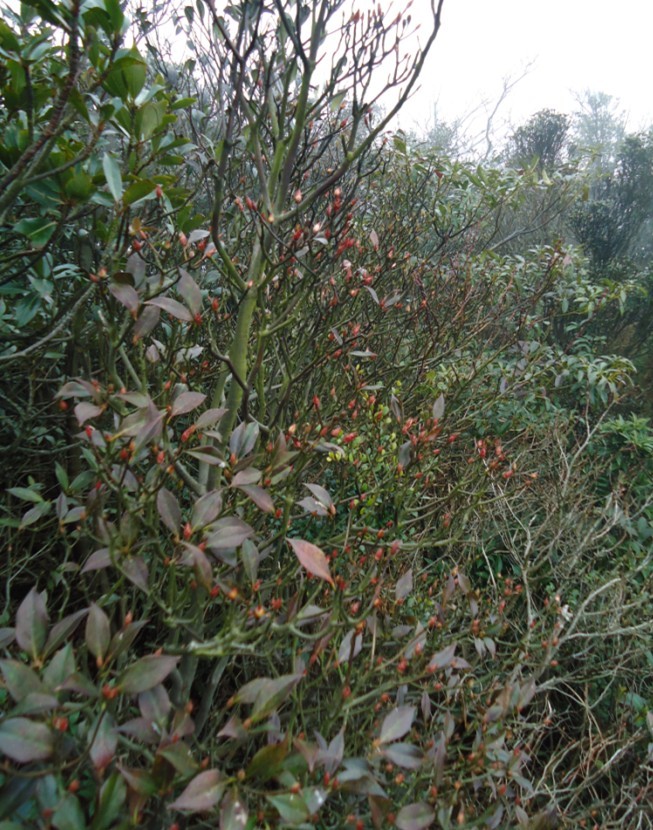 ���Ƕ� 3.jpg