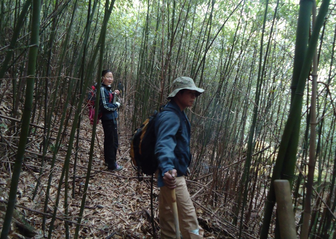 ���Ƕ� 1.jpg