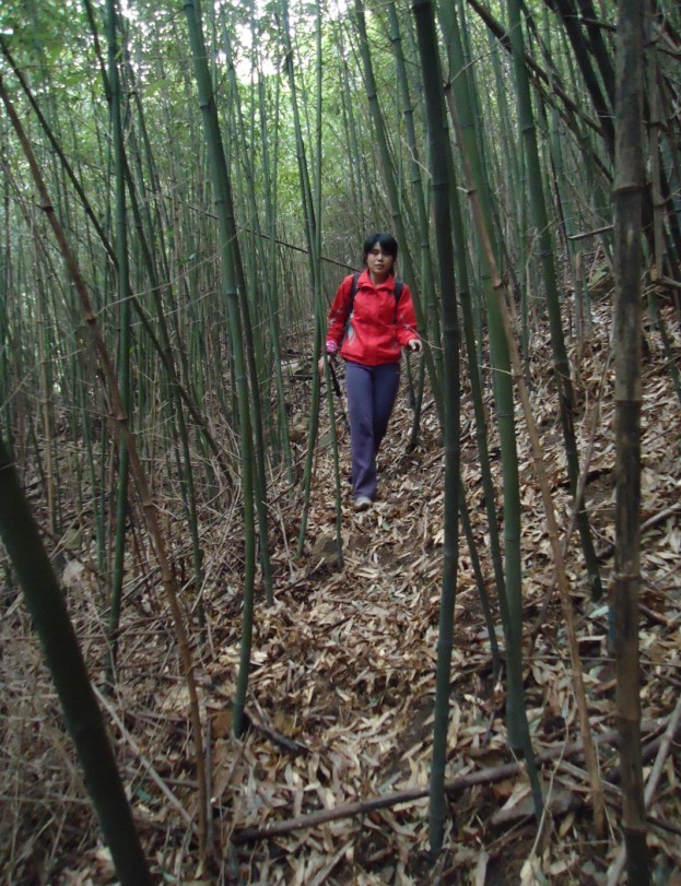 ���Ƕ� 3.jpg