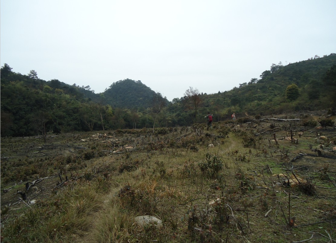 ���Ƕ� 8.jpg