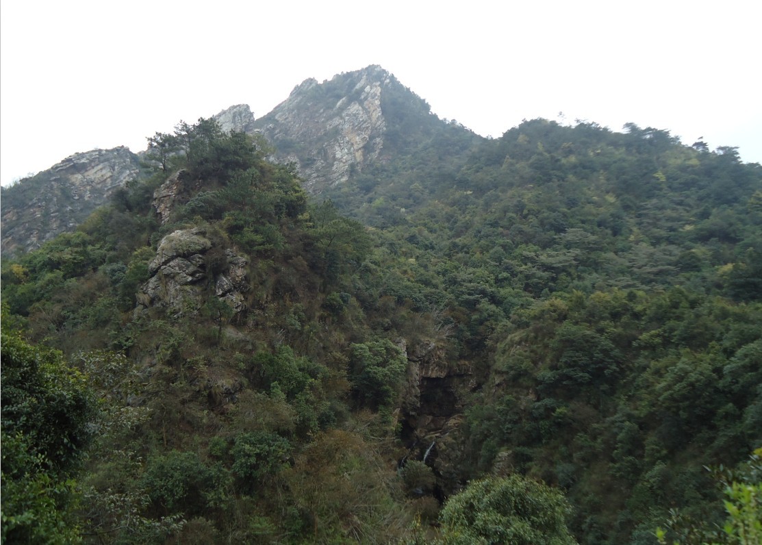 ���Ƕ� 2.jpg