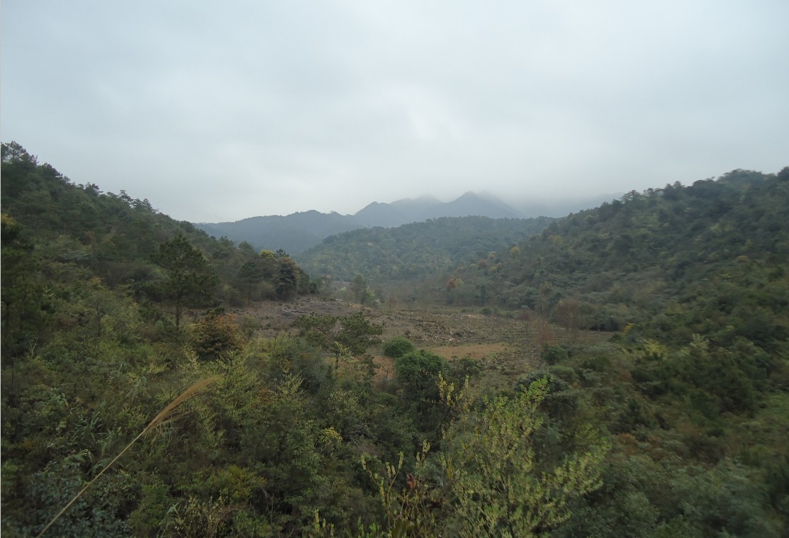 ���Ƕ� 1.jpg