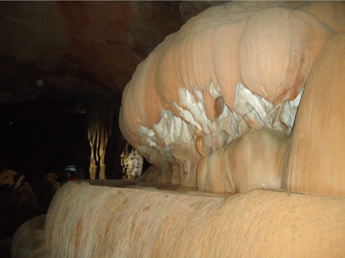 ���ζ� 1.jpg