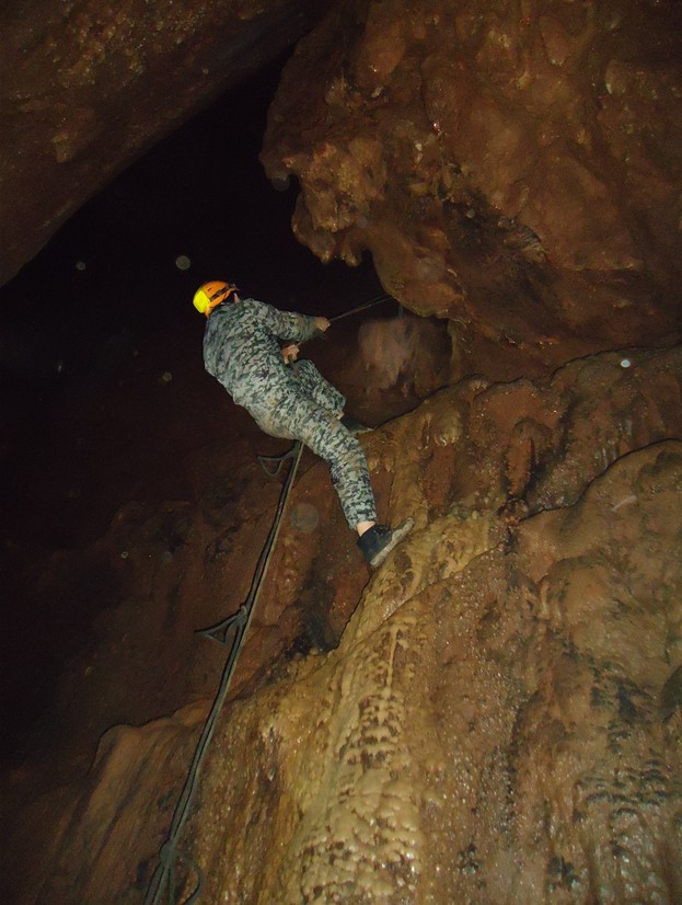 ���ζ� 4.jpg