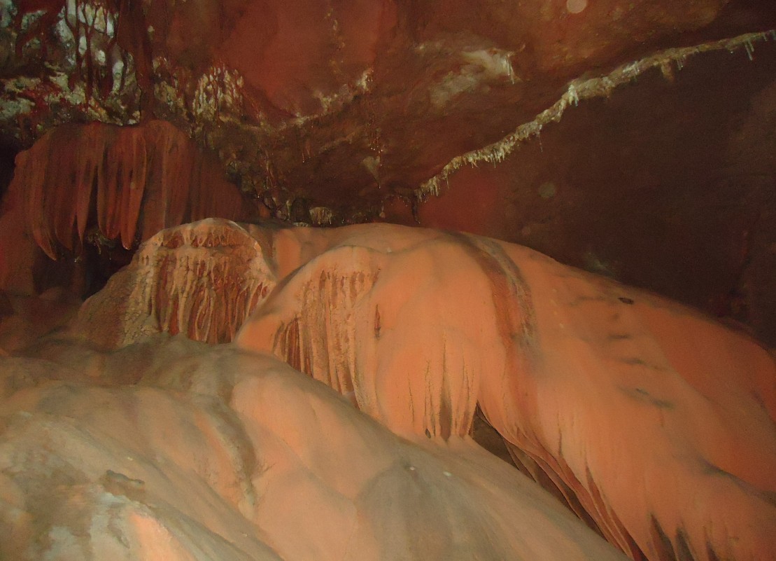 ���ζ� 1.jpg