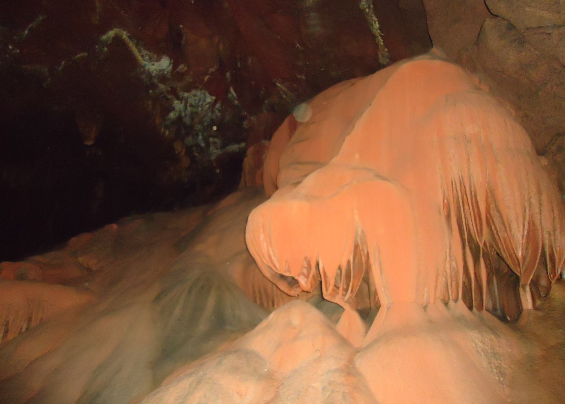 ���ζ� 2.jpg