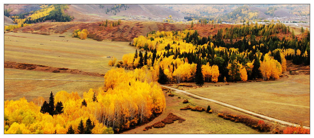 �������ػ͡������1 1030_nEO_IMG.jpg