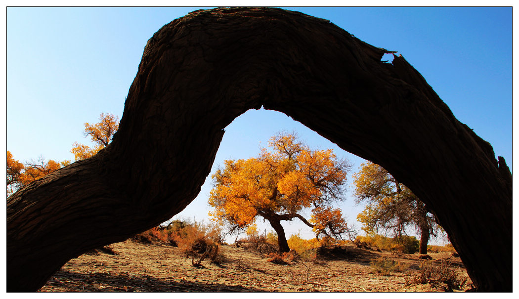 �������ػ͡������3 648_nEO_IMG.jpg