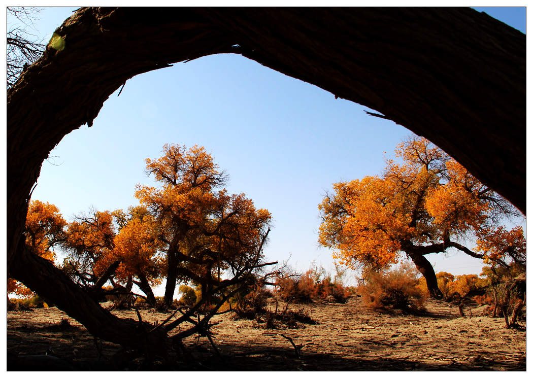 �������ػ͡������3 649_nEO_IMG.jpg