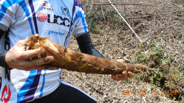 �ľ߳��������ձʼ�ɽ�����