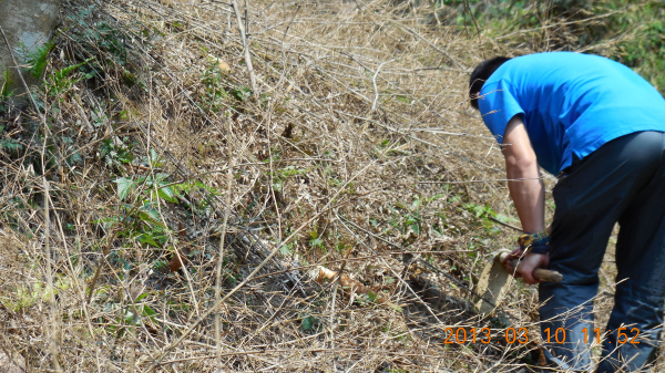 �ľ߳��������ձʼ�ɽ�����