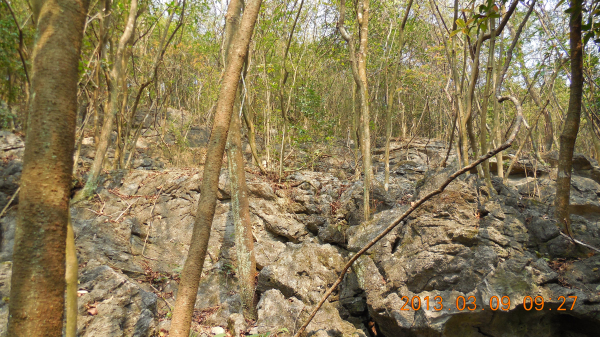 ������ǿ����Դ����ɽ