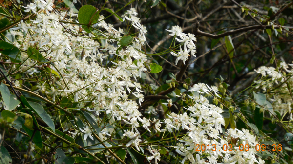 ������ǿ����Դ����ɽ