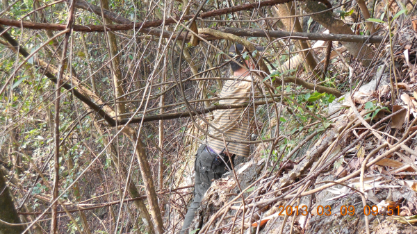 ������ǿ����Դ����ɽ