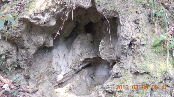 ������ǿ����Դ����ɽ