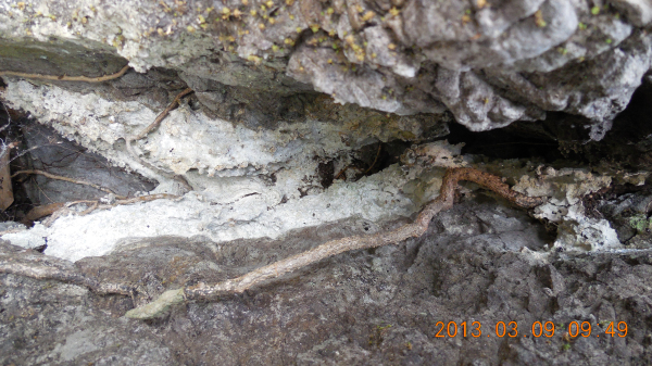 ������ǿ����Դ����ɽ