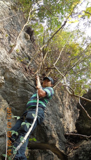 ������ǿ����Դ����ɽ