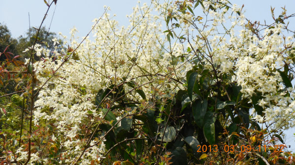 ������ǿ����Դ����ɽ