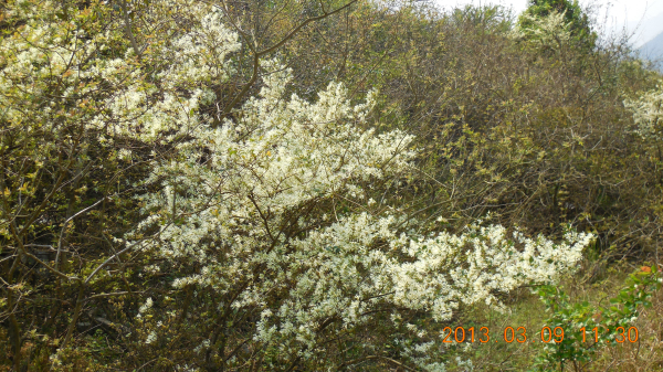 ������ǿ����Դ����ɽ