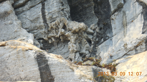 ������ǿ����Դ����ɽ