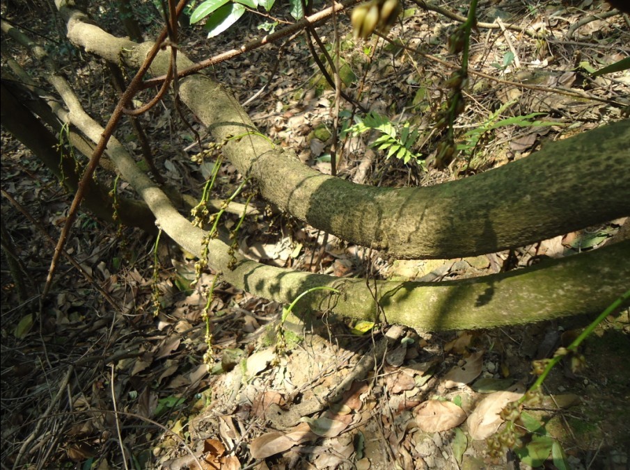 ��ȸ�� 3.9.jpg