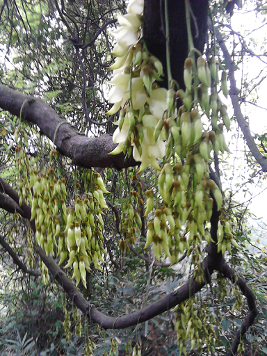 ��յ�ĺ�ȸ�� 2.png