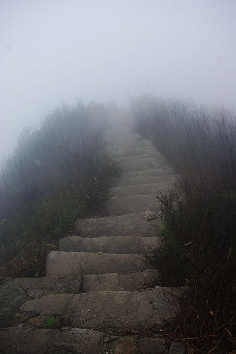 ����ɽ��ɫ