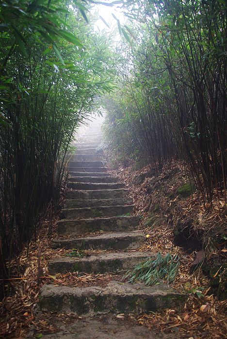 ����ɽ��ɫ