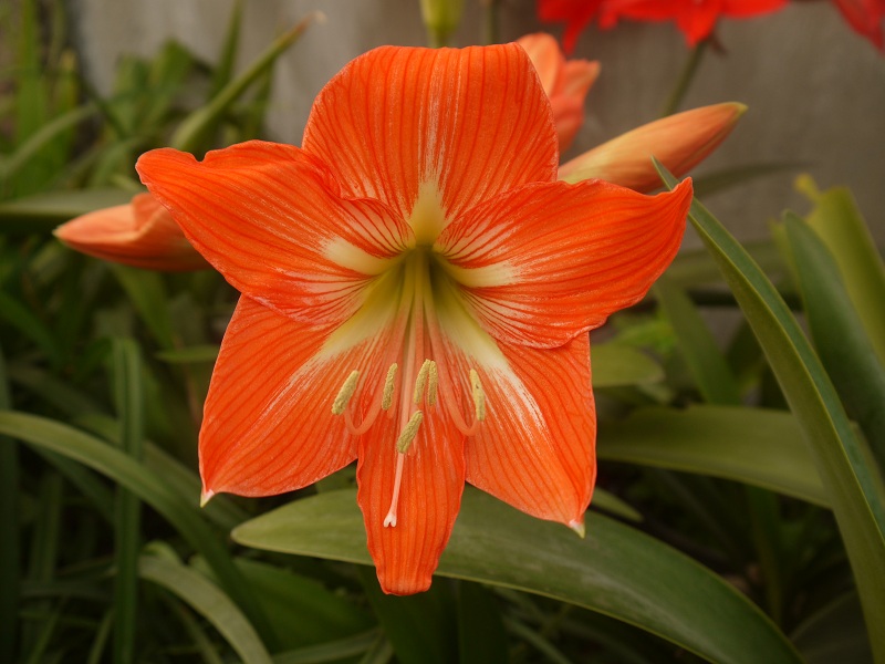 P1190587 - ����.JPG