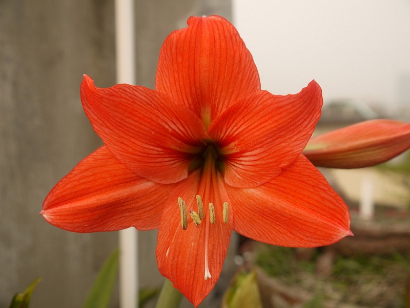 P1190588 - ����.JPG