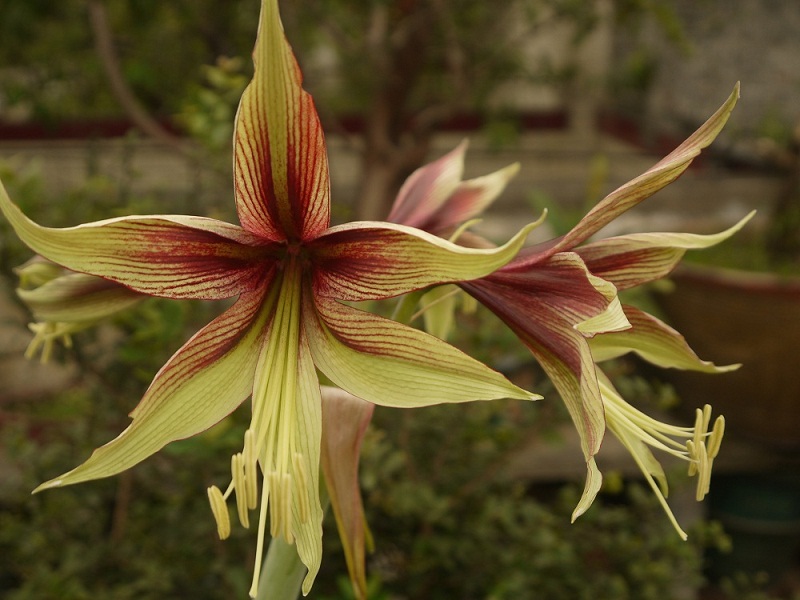 P1190589 - ����.JPG