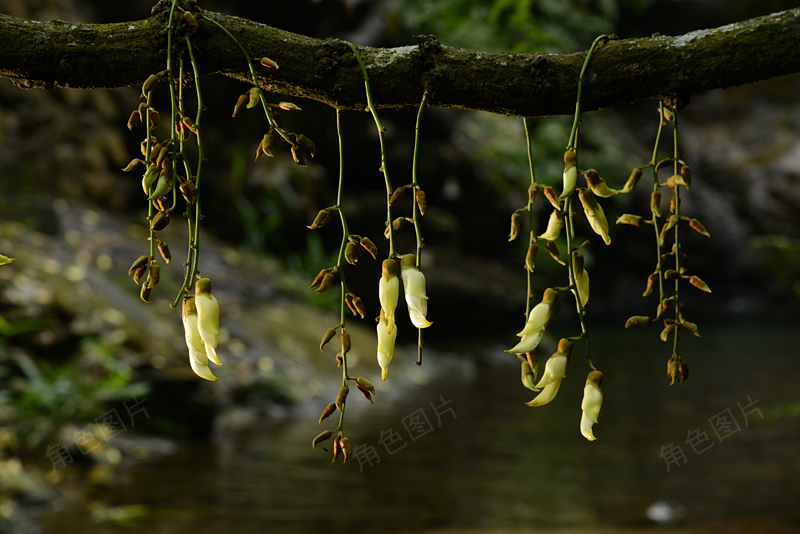 DSC_5657 ����.jpg