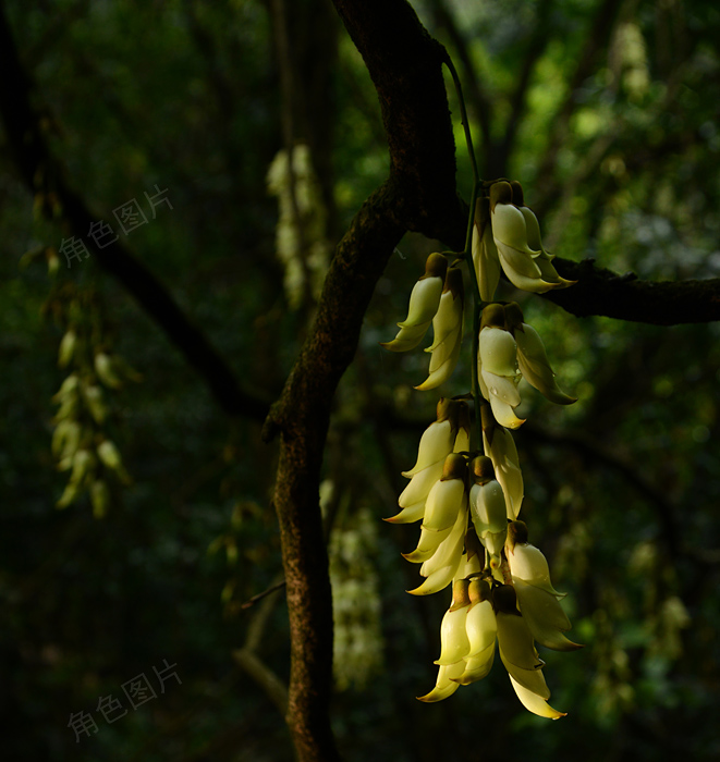 DSC_5684-1 ����.jpg