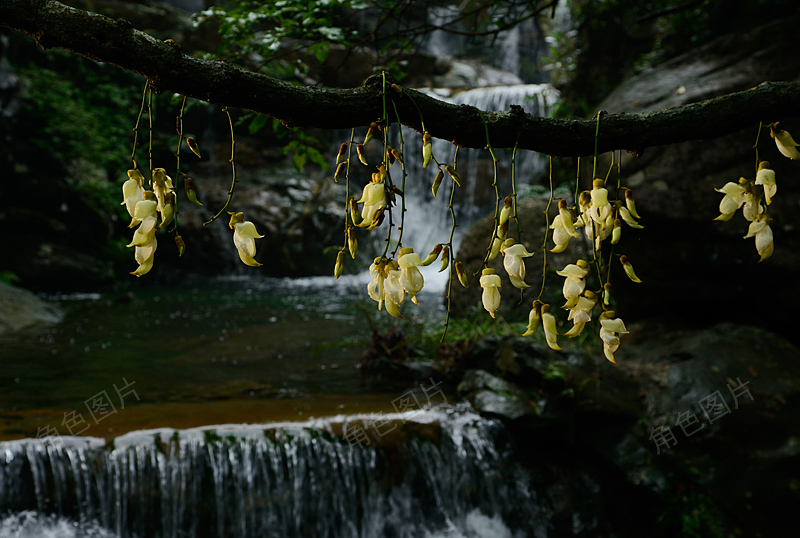 DSC_5780 ����.jpg