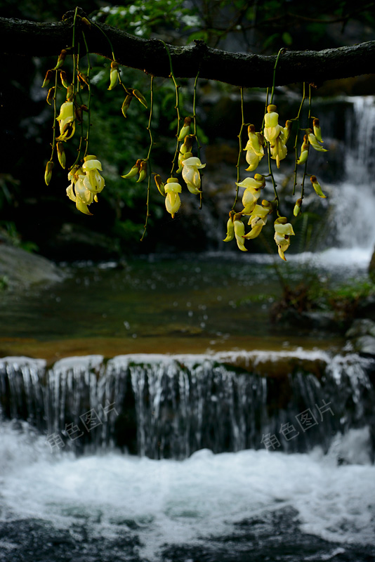 DSC_5788 ����.jpg