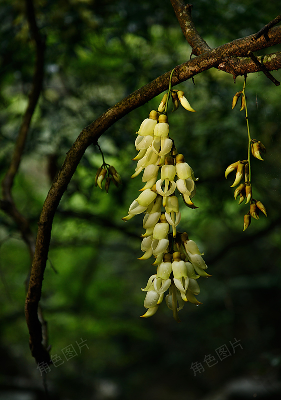 DSC_5841 ����.jpg