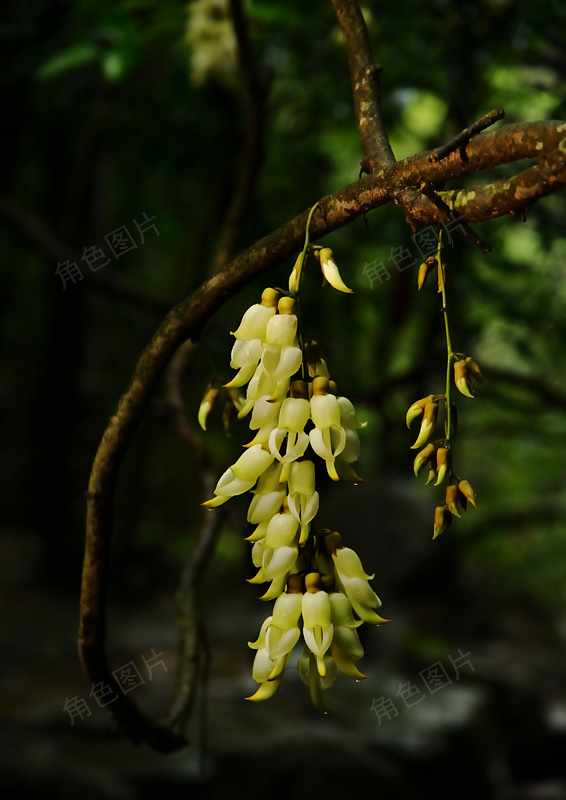 DSC_5855 ����.jpg