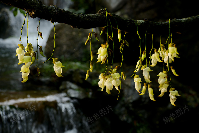 DSC_5859 ����.jpg